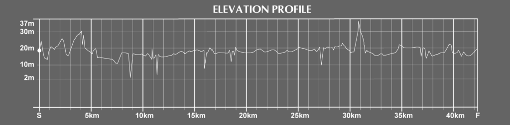 elevation of the roma marathon